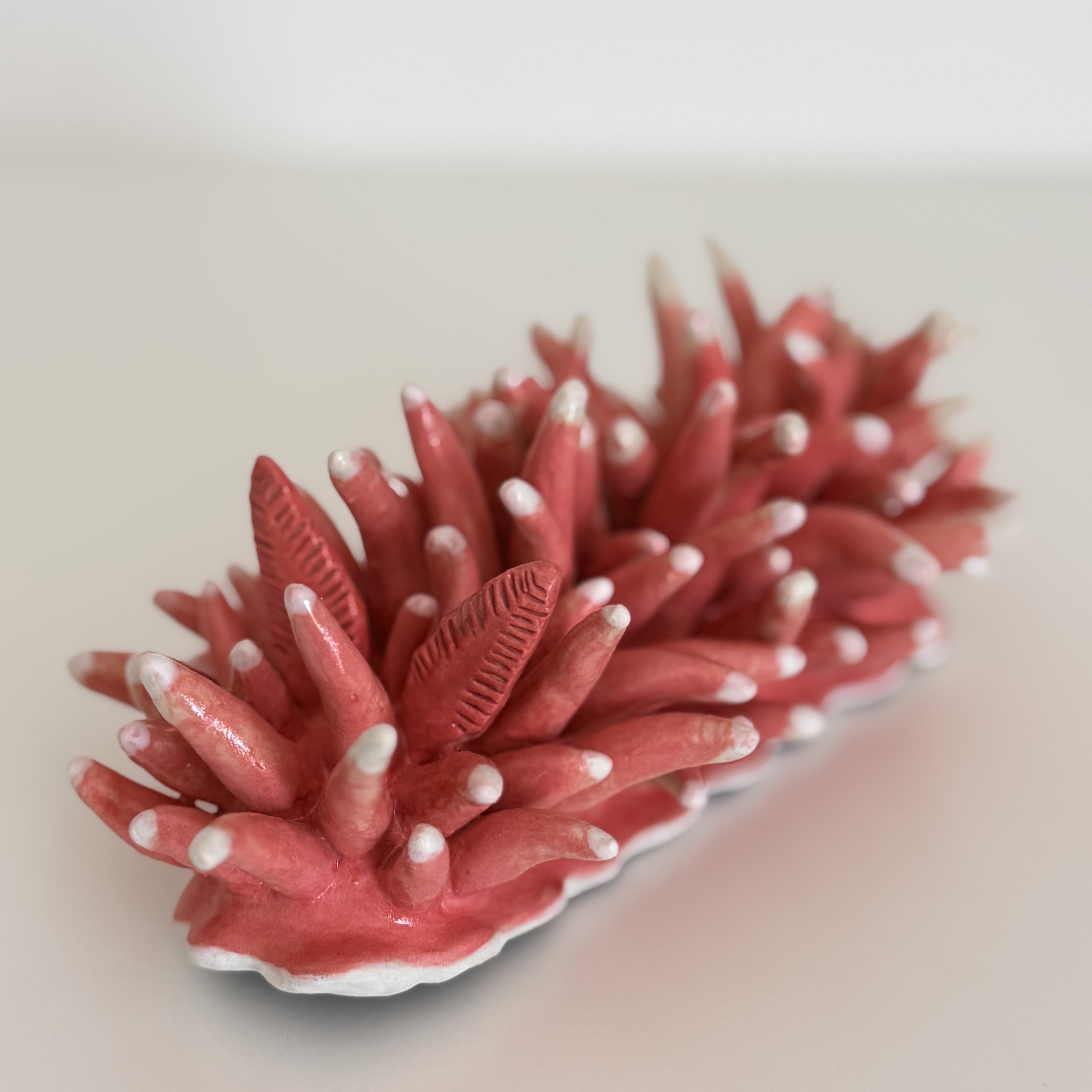 Aquatonic Exhibition Image